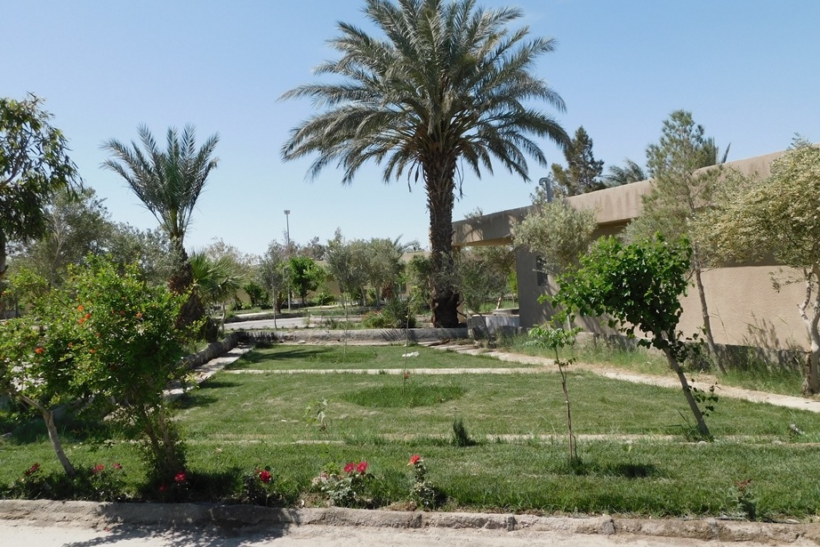 فضای سبز مرکز