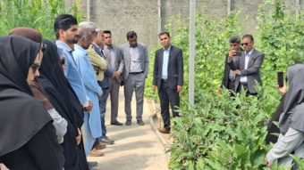 برگزاری مراسم روز انتقال یافته‌های تولید علوفه در گلخانه