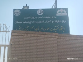 ایستگاه تحقیقات دام زهک؛ تکیه‌گاه احیای نژاد اصیل گاو سیستانی و ثبات اجتماعی منطقه