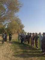 برگزاری دوره تخصصی مبارزه با آفات  وبیماری های  گندم ، گامی موثر برای  ارتقای  دانش کشاورزی