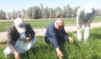 برگزاری  دوره آموزشی تخصصی مبارزه با علف هرز دم ماری با رویکزد علمی  پژوهشی  در منطقه ریگچاه