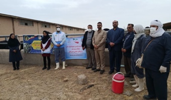 اردوی جهادی  دامپزشکی در دهه فجر حفاظت از گاو اصیل سیستانی ،ذخیره ژنتیکی منطقه