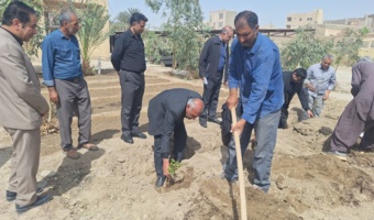غرس  درخت به مناسبت روز درختکاری در مرکز  تحقیقات و آموزش کشاورزی  و منابع طبیعی سیستان