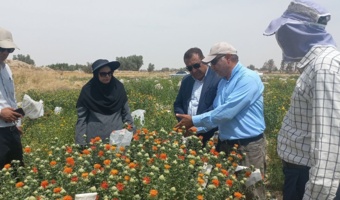 بازدید رئیس پژوهشکده کشاورزی پژوهشگاه زابل و رئیس جهاد کشاورزی زهک از ایستگاه تحقیقات و آموزش کشاورزی و منابع طبیعی زه