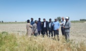 تطبیق الگوی  کشت با شرایط اقلیمی ، دوره آموزشی تغییر الگوی کشت و ارقام جو