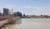 آبگیری استخرهای  ذخیره آب ایستگاه تحقیقات و آموزش  کشاورزی  ومنابع طبیعی  زهک، نقشی کلیدی  در تامین آب پایدار و بهبود درآمد[