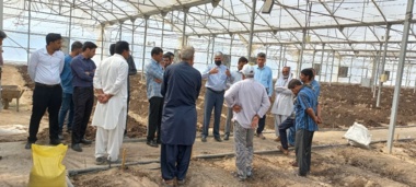 برگزاری دوره آموزش کاربردی و عملی در حوزه بسترهای کاشت محصولات گلخانه ای در سیستان