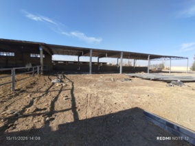 اجرای طرح توسعه ، حفظ و افزایش جمعیت گاو اصیل سیستانی در ایستگاه تحقیقات علوم دامی زهک