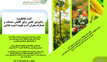 فصلنامه خبری الکترونیکی موسسه تحقیقات اصلاح و تهیه نهال و بذر منتشر شد