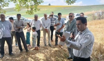 بسیج ظرفیت‌های علمی برای ارتقای بهره‌وری آفتابگردان در گلیداغ/ قطب تولید دانه‌های روغنی گلستان میزبان کارگاه آموزشی ترویجی شد
