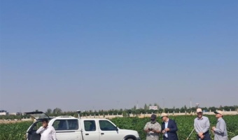 پایش دقیق مزارع سویا و آفتابگردان برای شناسایی خلاء عملکرد