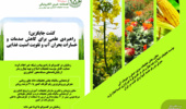 فصلنامه خبری الکترونیکی موسسه تحقیقات اصلاح و تهیه نهال و بذر منتشر شد