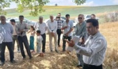 بسیج ظرفیتهای علمی برای ارتقای بهرهوری آفتابگردان در گلیداغ/ قطب تولید دانههای روغنی گلستان میزبان کارگاه آموزشی ترویجی شد
