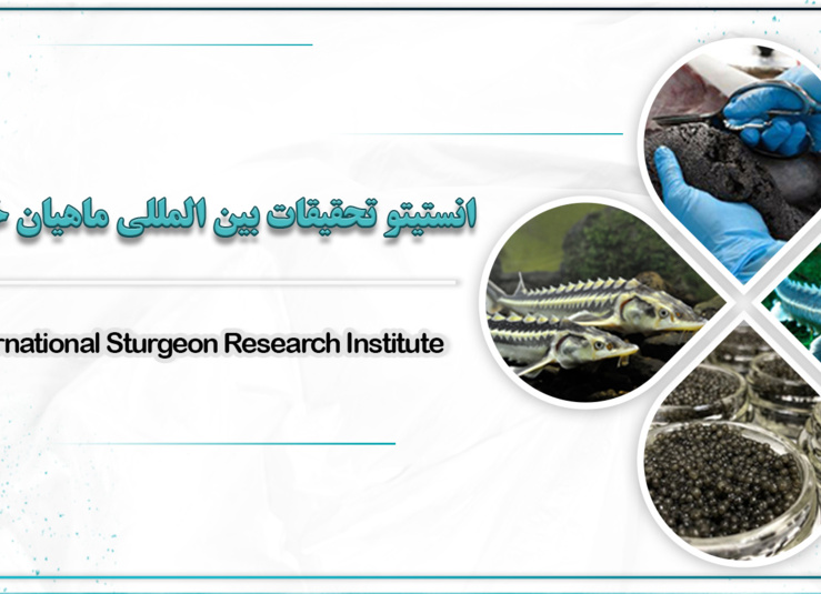 بنر بالای صفحه اول