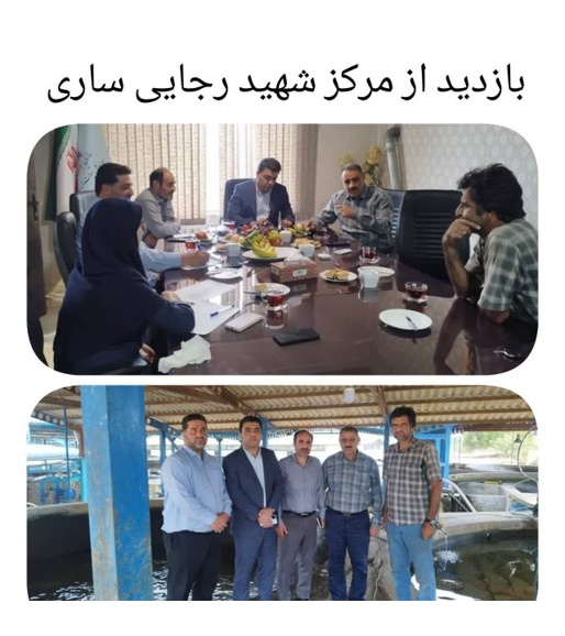 بازدید معاون پژوهشی و فناوری انستیتو از مراکز تکثیر و بازسازی ذخایر ژنتیکی ماهیان خاویاری
