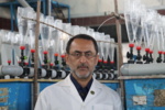 انتقال لارو ماهی‌ خاویاری استرلیاد به بخش خصوصی با هدف تحقق اقتصاد مقاومتی