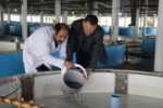 تولید و تحویل لاروهای حاصل از مولدسازی و تکثیر مجدد تاسماهی ایرانی وحشی در شرایط پرورشی به بخش اجرا