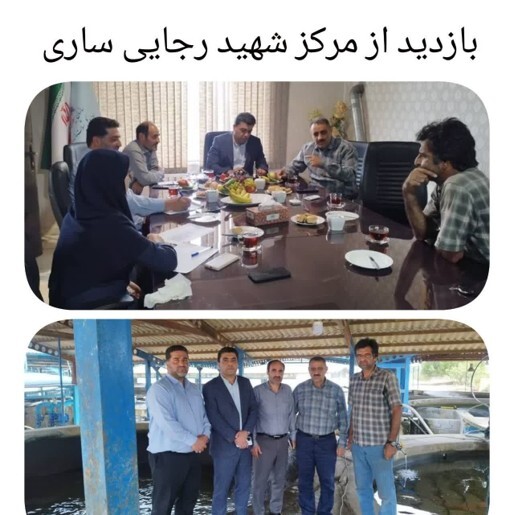بازدید معاون پژوهشی و فناوری انستیتو از مراکز تکثیر و بازسازی ذخایر ژنتیکی ماهیان خاویاری