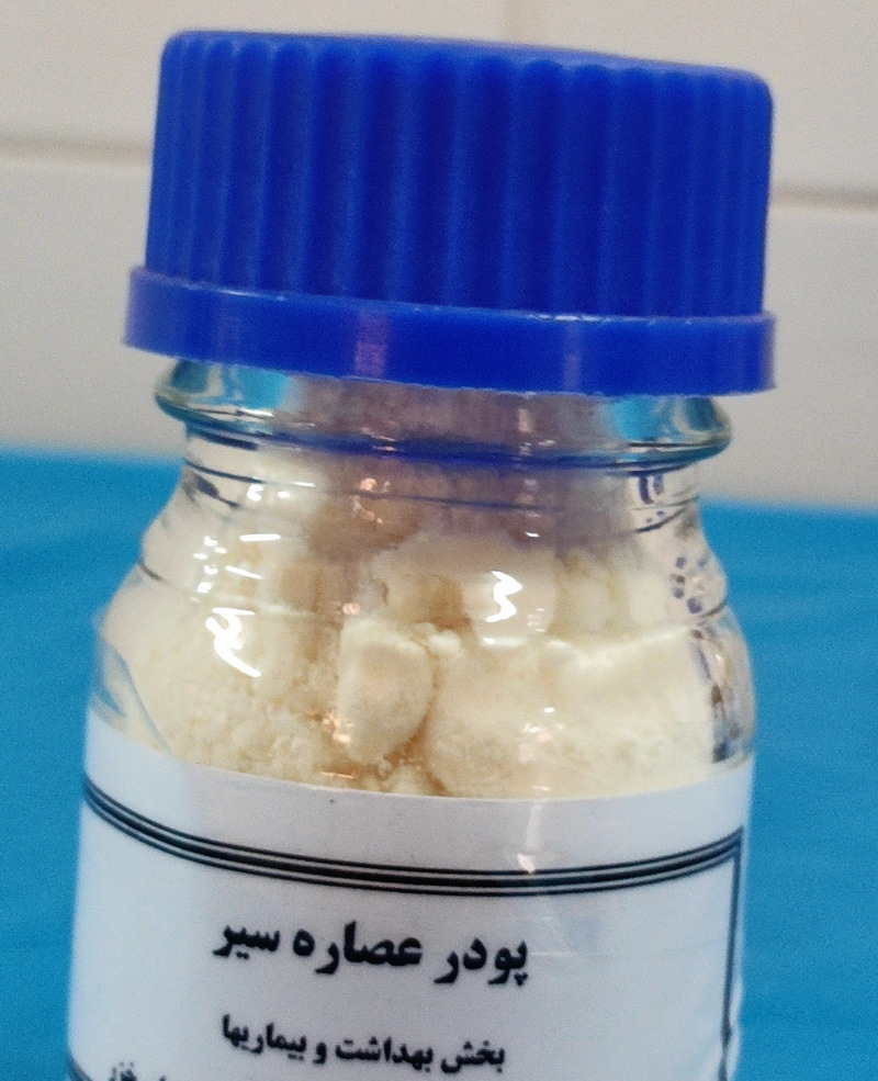 گیاه دارویی سیر محرکی طبیعی و مقرون‌به‌صرفه جهت ارتقاء رشد و ایمنی در ‌ماهیان خاویاری