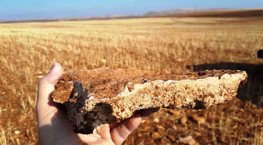 گالری تصاویر ۱