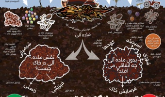 ماده آلی خاک چیست؟