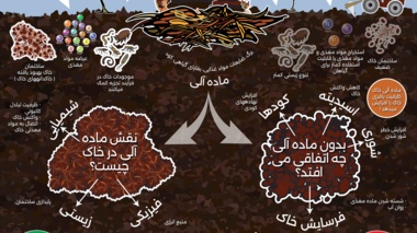 ماده آلی خاک چیست؟