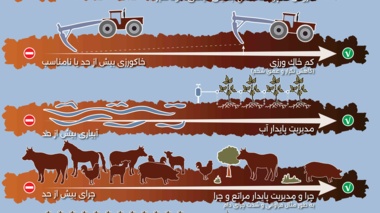 نحوه افزایش مقدار ماده آلی خاک