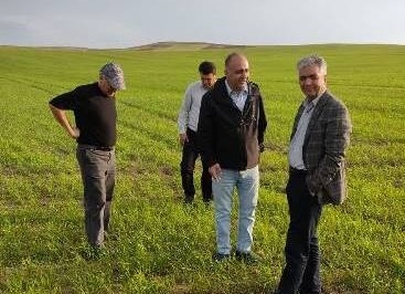 ایستگاه تحقیقاتی