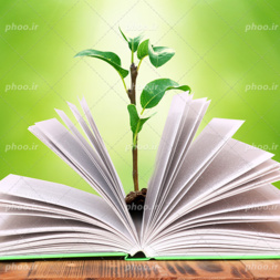 انتشارات مرکز