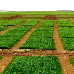 ایستگاه قاملو