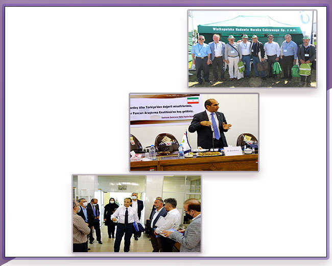 روابط بین الملل