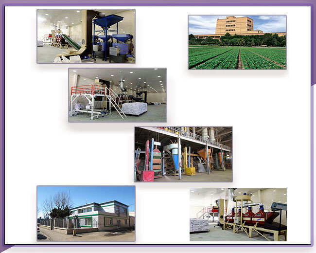 ایستگاه های تولید و فرآوری بذر