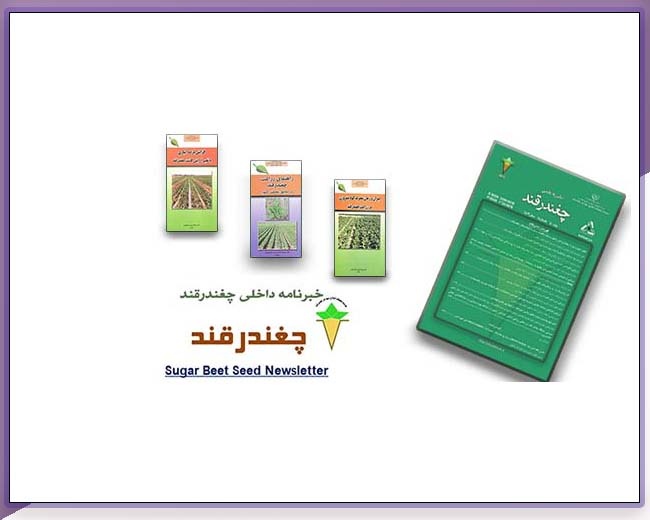 فعالیت های انتشاراتی موسسه