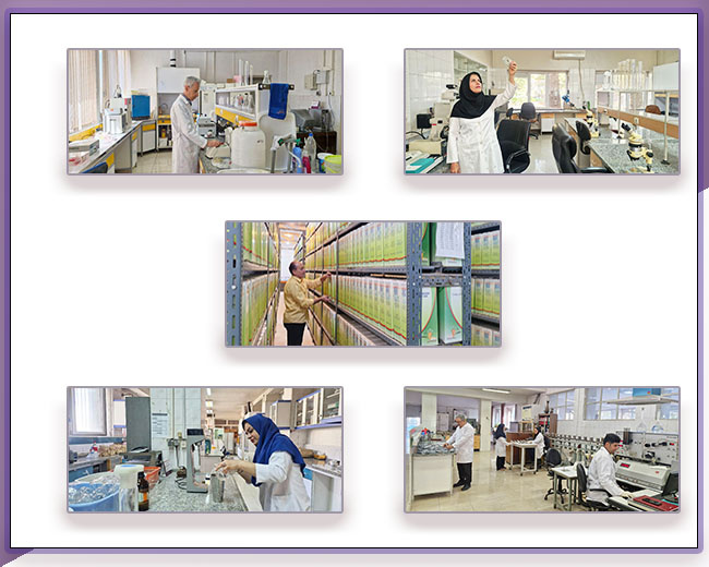 بخش های تحقیقاتی