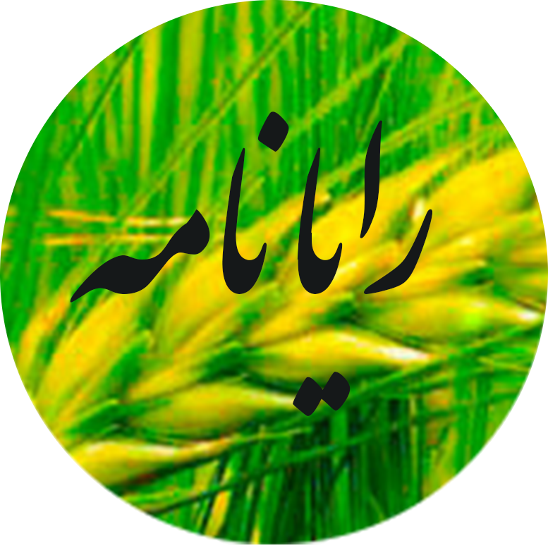 پست الکترونیکی سازمان