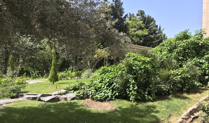 معرفی سازمان