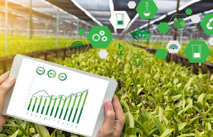 دسته بندی اسلایدر