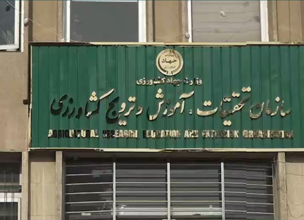 اسلایدر صفحه اصلی