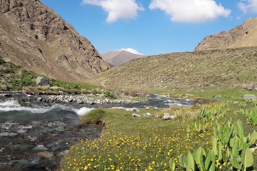 گالری عکس