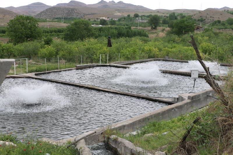 گالری عکس