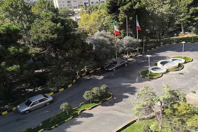 معرفی سازمان