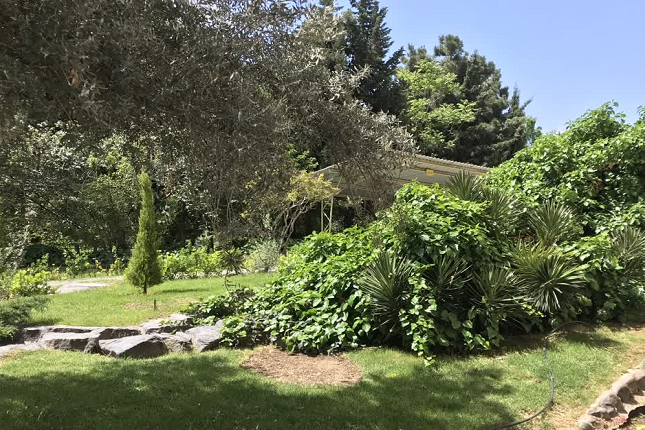 معرفی سازمان