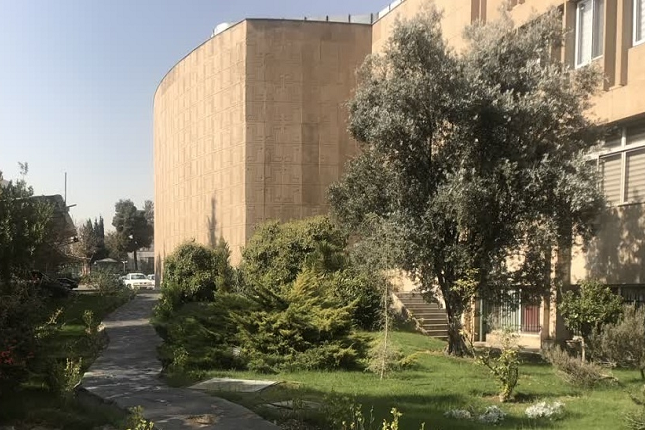 معرفی سازمان