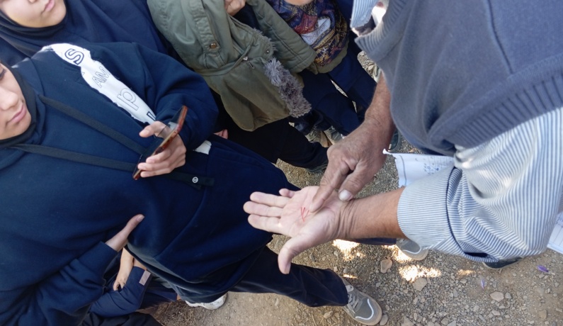 عکس