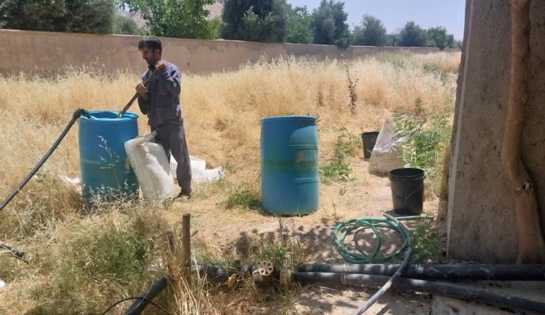 عکس