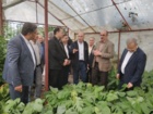 تأکید بر پیوند پژوهش با مزرعه