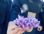 تور علمی - آموزشی  هنرجویان تولید گیاهان دارویی از مزرعه زعفران سمنان