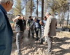 احداث باغ عناب در مرکز تحقیقات کشاورزی استان کرمان