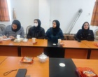پژوهش‌‌های مسئله‌محور، زیربنای کشاورزی دانش‌بنیان و پایدار استان
