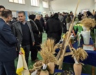 برگزاری نمایشگاه «روز درهای باز» خانواده تات گلستان در مرکز تحقیقات و آموزش گلستان